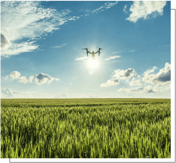 A picture of the sky and grass in front of a field.