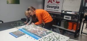 Shamrock+ modeling, Savannah puzzle