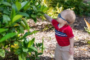 Modeling Studio Photography